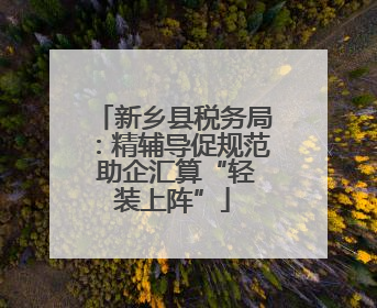 新乡县税务局：精辅导促规范 助企汇算“轻装上阵”