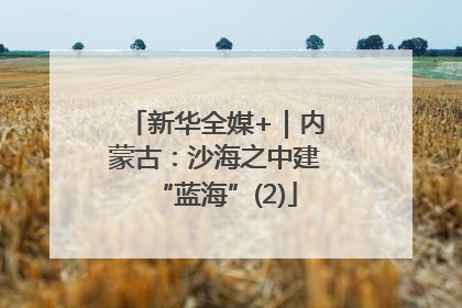 新华全媒+｜内蒙古：沙海之中建“蓝海”(2)