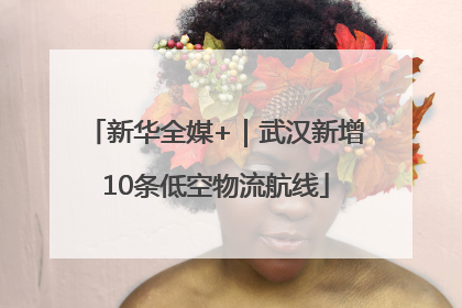 新华全媒+｜武汉新增10条低空物流航线