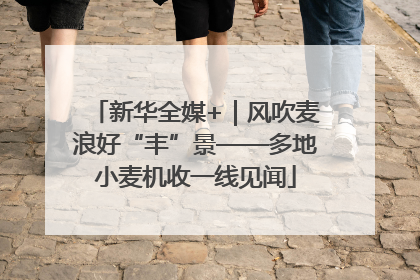 新华全媒+｜风吹麦浪好“丰”景——多地小麦机收一线见闻