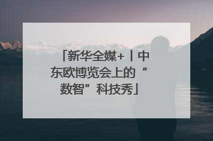 新华全媒+丨中东欧博览会上的“数智”科技秀