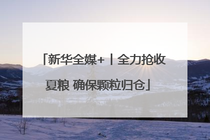 新华全媒+丨全力抢收夏粮 确保颗粒归仓