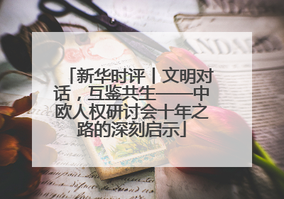 新华时评丨文明对话，互鉴共生——中欧人权研讨会十年之路的深刻启示