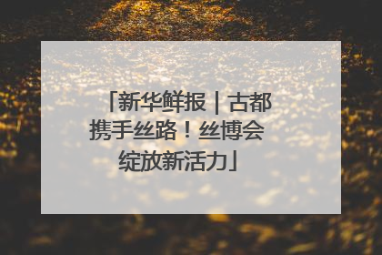 新华鲜报｜古都携手丝路！丝博会绽放新活力