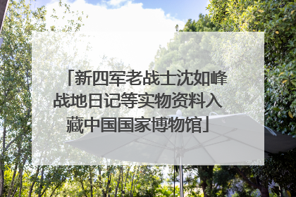 新四军老战士沈如峰战地日记等实物资料入藏中国国家博物馆