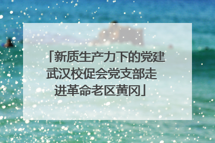 新质生产力下的党建 武汉校促会党支部走进革命老区黄冈