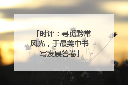 时评：寻觅黔常风光，于最美中书写发展答卷