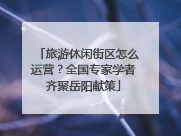 旅游休闲街区怎么运营？全国专家学者齐聚岳阳献策