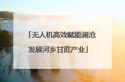 无人机高效赋能澜沧发展河乡甘蔗产业