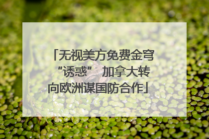 无视美方免费金穹“诱惑” 加拿大转向欧洲谋国防合作