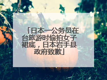 日本一公务员在台旅游时偷拍女子裙底，日本岩手县政府致歉