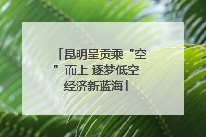 昆明呈贡乘“空”而上 逐梦低空经济新蓝海