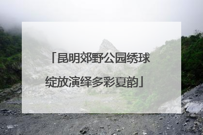 昆明郊野公园绣球绽放演绎多彩夏韵