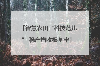智慧农田“科技范儿” 稳产增收根基牢