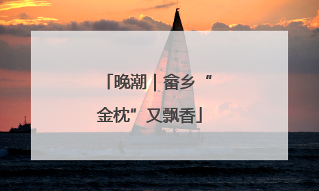 晚潮｜畲乡“金枕”又飘香
