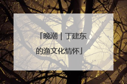 晚潮｜丁建东的渔文化情怀