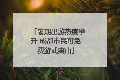 暑期出游热度攀升 成都市民可免费游武夷山