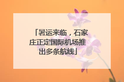 暑运来临，石家庄正定国际机场推出多条航线