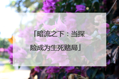 暗流之下：当探险成为生死赌局