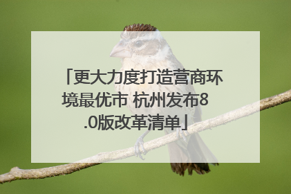 更大力度打造营商环境最优市 杭州发布8.0版改革清单