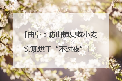 曲阜：防山镇夏收小麦实现烘干“不过夜”