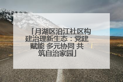 月湖区沿江社区构建治理新生态：党建赋能 多元协同 共筑自治家园