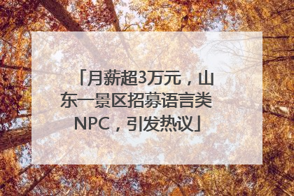 月薪超3万元，山东一景区招募语言类NPC，引发热议