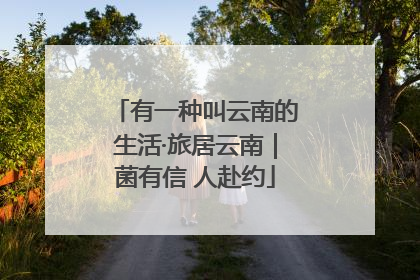 有一种叫云南的生活·旅居云南｜菌有信 人赴约