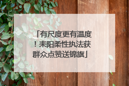 有尺度更有温度！耒阳柔性执法获群众点赞送锦旗