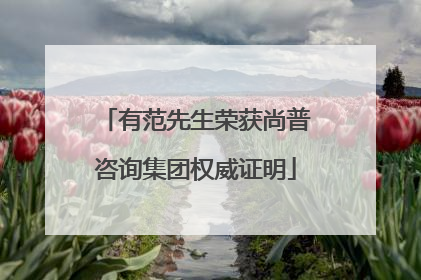 有范先生荣获尚普咨询集团权威证明
