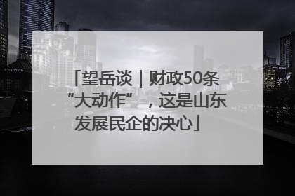 望岳谈｜财政50条“大动作”，这是山东发展民企的决心