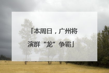 本周日，广州将演群“龙”争霸