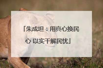 朱成坦：用真心换民心 以实干解民忧