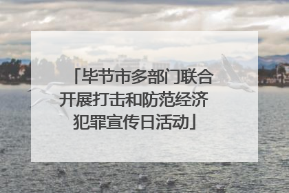毕节市多部门联合开展打击和防范经济犯罪宣传日活动