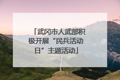 武冈市人武部积极开展“民兵活动日”主题活动