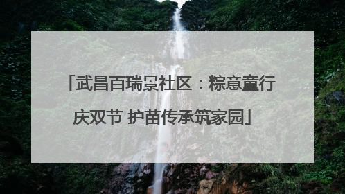 武昌百瑞景社区：粽意童行庆双节 护苗传承筑家园
