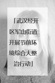 武汉经开区军山街道开展节前环境综合大整治行动