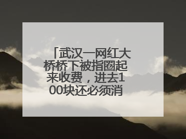 武汉一网红大桥桥下被指圈起来收费，进去100块还必须消费？当地回应