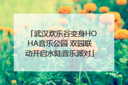 武汉欢乐谷变身HOHA音乐公园 双园联动开启水陆音乐派对