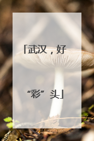 武汉，好“彩”头