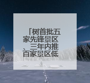 树首批五家先锋景区、三年内推百家景区低碳转型，宁德时代以科技赋能零碳文旅发展