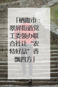 栖霞市：翠屏街道党工委领办联合社让“农特好品”香飘四方