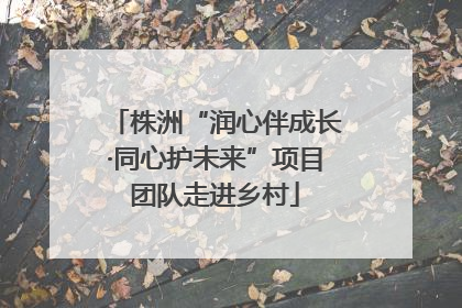 株洲“润心伴成长·同心护未来”项目团队走进乡村