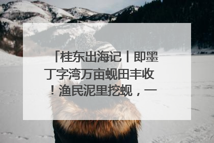 桂东出海记丨即墨丁字湾万亩蚬田丰收！渔民泥里挖蚬，一天上岸过千斤