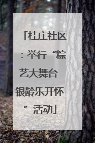桂庄社区：举行“粽艺大舞台 银龄乐开怀”活动