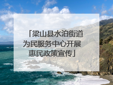 梁山县水泊街道为民服务中心开展惠民政策宣传