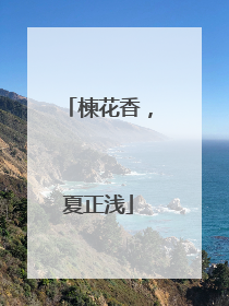 楝花香，夏正浅