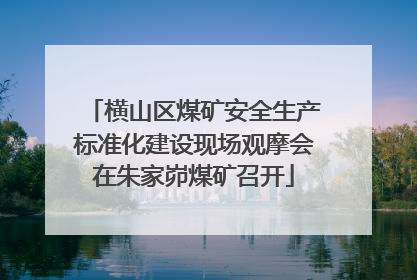 横山区煤矿安全生产标准化建设现场观摩会在朱家峁煤矿召开