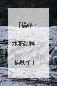 横峰：水稻制种插秧忙
