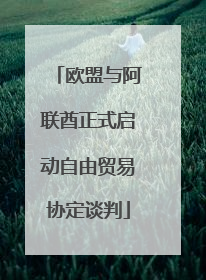 欧盟与阿联酋正式启动自由贸易协定谈判